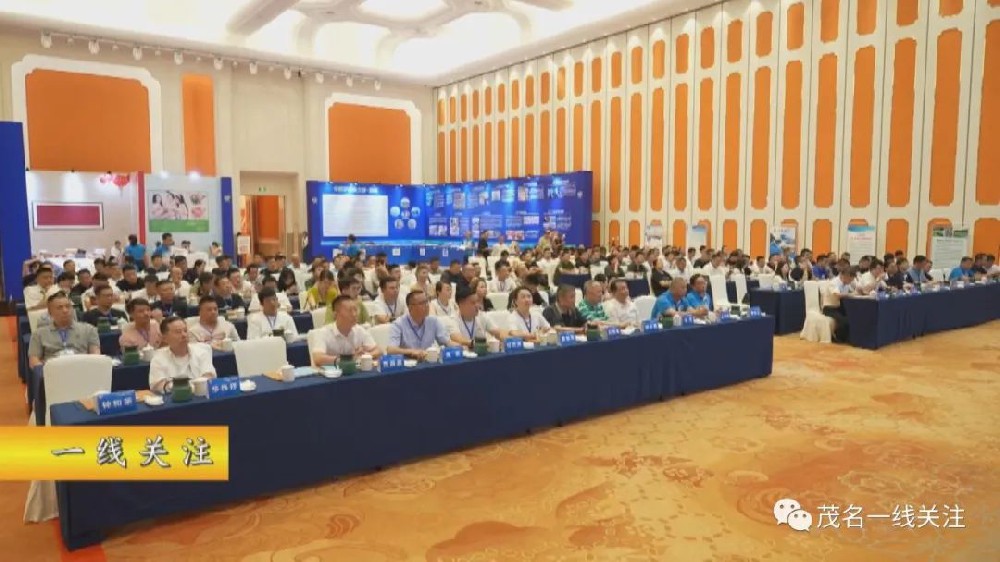 Maoming tilapia swims towards Hangzhou